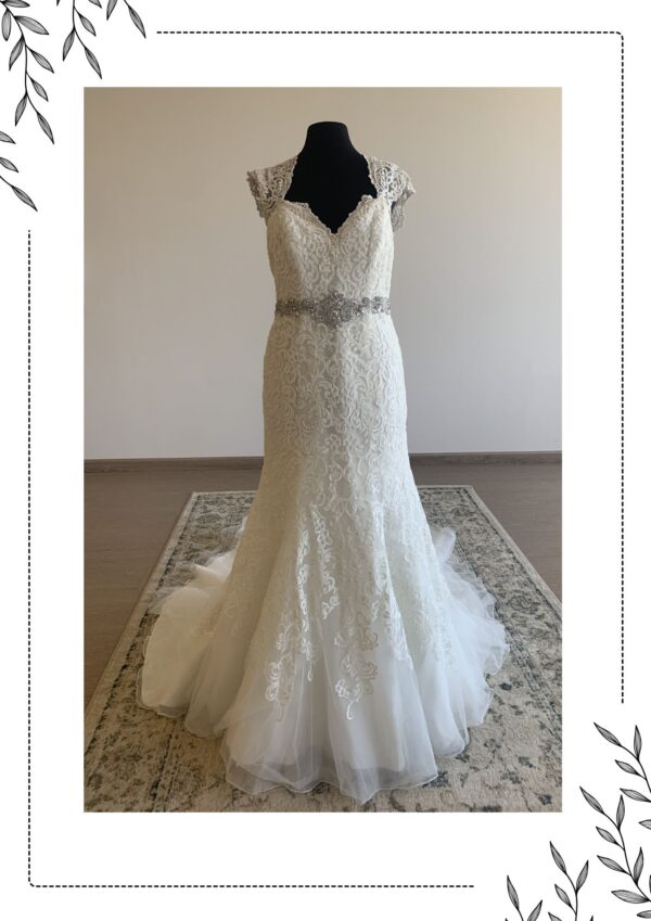 Mori lee